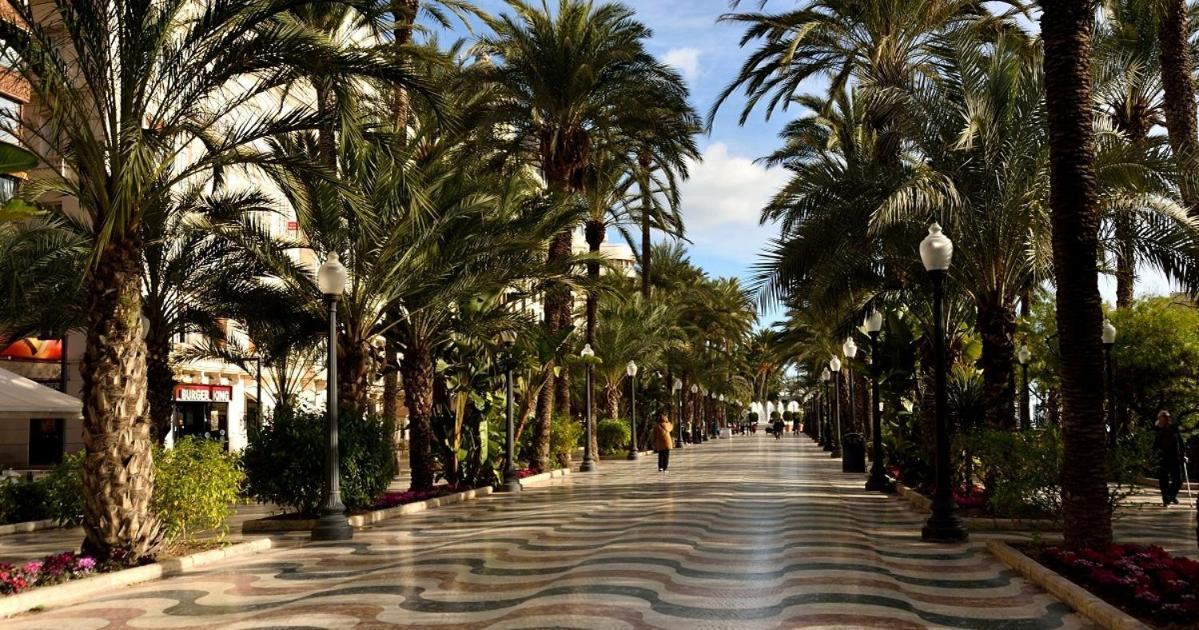 35-3- Комната В Квартире Для Семьи От 1 До 4 Человек В Центре Аликанте Alicante Eksteriør billede