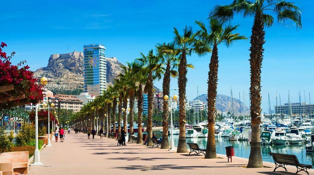 35-3- Комната В Квартире Для Семьи От 1 До 4 Человек В Центре Аликанте Alicante Eksteriør billede